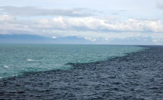 水底奥秘|同样是海水,为什么大西洋和太平洋交汇处永不相融?原因很简单