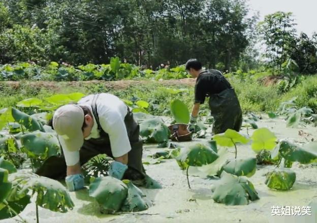 向往的生活|《向往的生活》出现重大失误,如不发现恐将烂尾