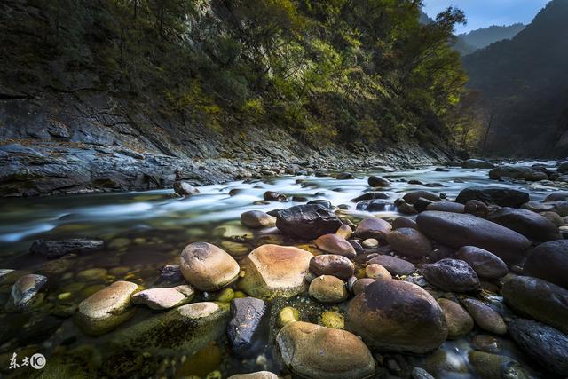 生肖：5月9号后，霉运转横财，未来17天，有难得的一笔横财降临3生肖