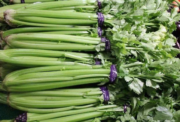 苦瓜@春天“养生”黄金季,3种菜虽难吃,营养价值却出奇的高