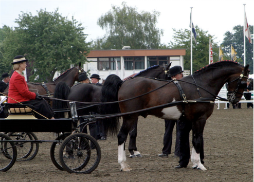 |外国专家：为啥我们发明的键盘，中国人可以一上手就输入中文？