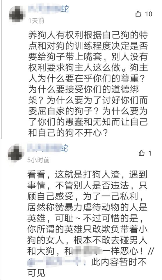 三线以下城市遛狗都不需要栓绳？非著名宠物博主与粉丝开杠了