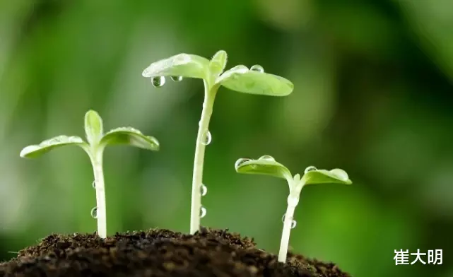 生肖|7天内贵人齐临家门，好事不走，多福多金，日进斗金的生肖
