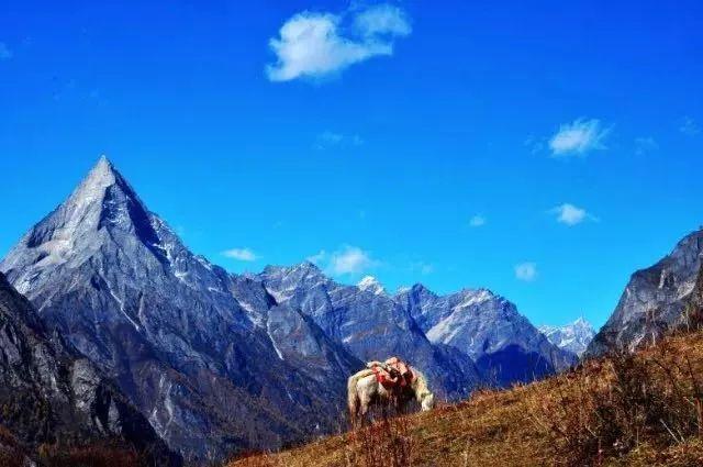 自驾|4条最适合国庆自驾的路线,约上三两好友出发吧!