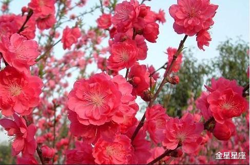 『生肖』6月19号被贵人赏识的生肖，工作大展拳脚，生活品质越来越高