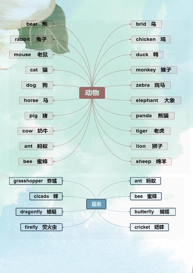 「」这妈妈真有才：把英语单词编成“思维图”，儿子1天就记完500词！