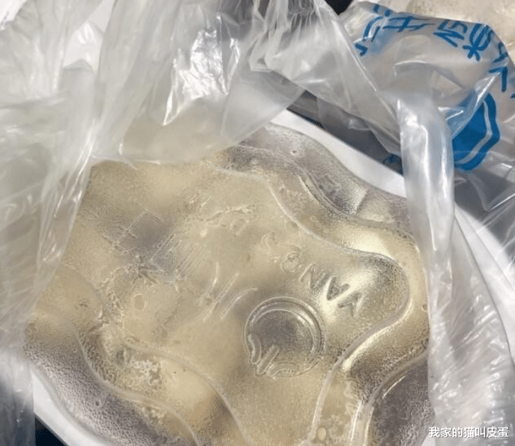 美团|美团到底给社会带来了什么好处和坏处？