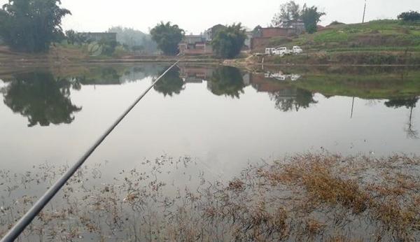 鲫鱼|冬季钓鱼有秘诀：“9字秘诀”看懂冬钓套路，天冷也能连竿上鱼！