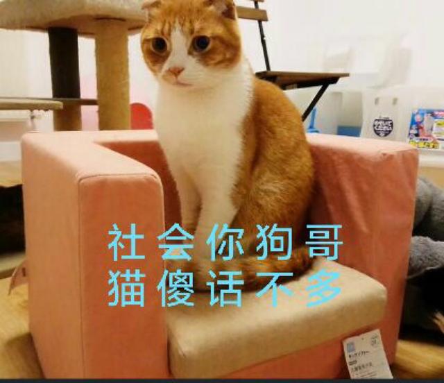 ▲没有手机和网络，记得儿时的我们在家乡玩些什么？