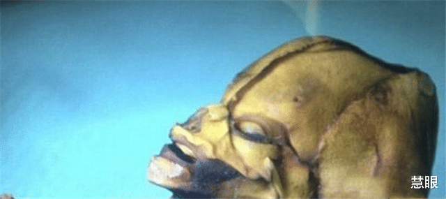 「太空」太空存在生物的证据曝光，宇宙中最恐怖的生物，为大家揭秘！