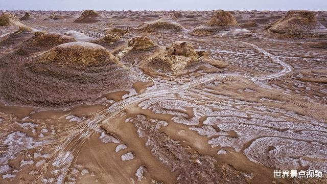 |海水取之不尽,引入到沙漠会怎样?看看中东国家的实验结果