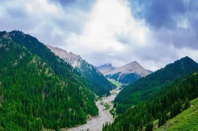 『生肖』下个月内，缘分和桃花永不分离，相守一生不变心的四大生肖！