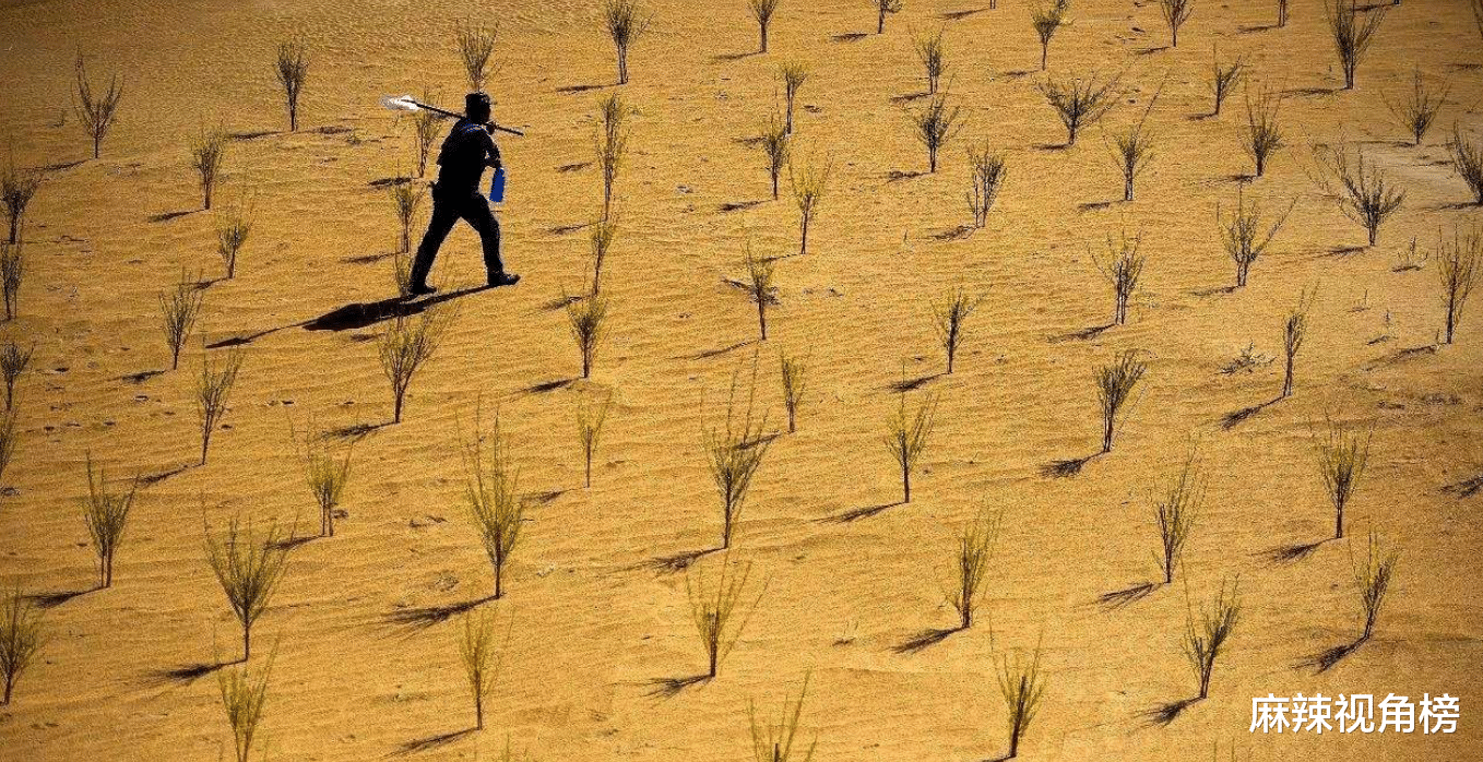 马云|马云20亿打造的蚂蚁森林,已经种4年了,现在沙漠变成什么样了?