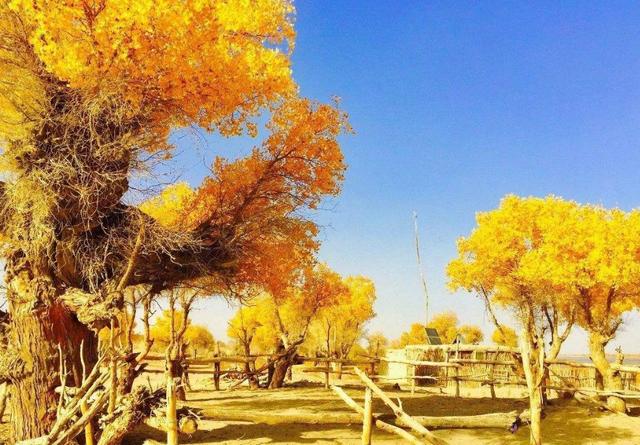 |深藏于沙漠的中国村庄，号称沙漠守望者，这里的女性从不外嫁