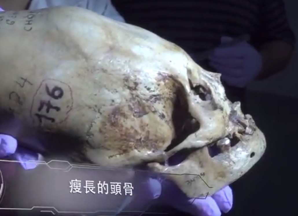 陨石|在冰中发现的神秘物体，你知道它们是什么吗，你对哪个影响深刻呢