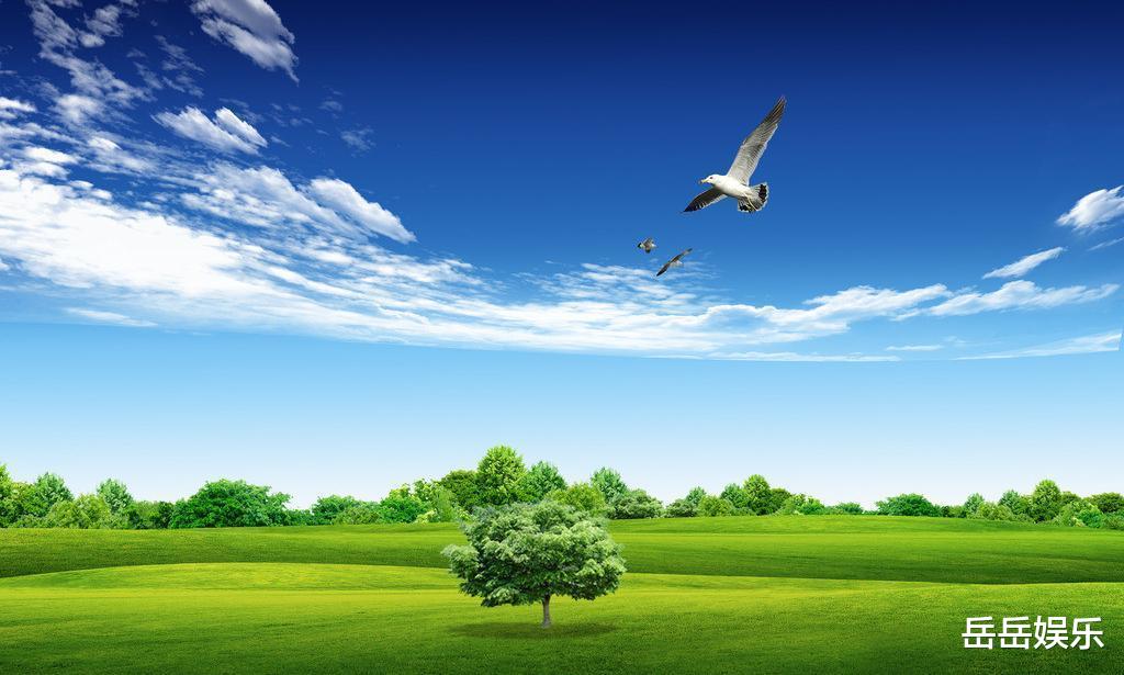 星座性格|能力强，但不断出现问题，始终解决问题的三个星座