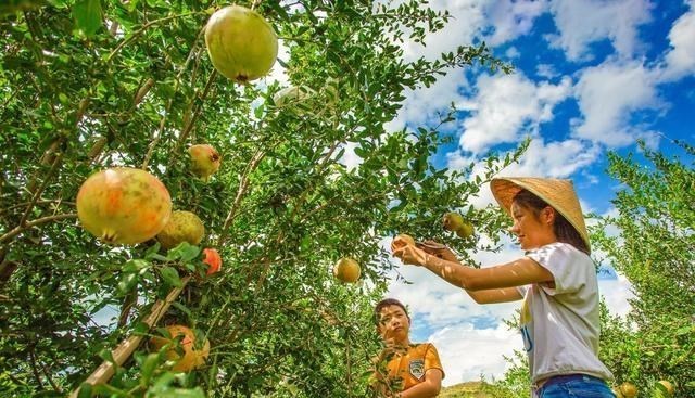 攀枝花 万里长江上游“第一城”，一年四季鲜果不断，堪称宜居暖冬小城
