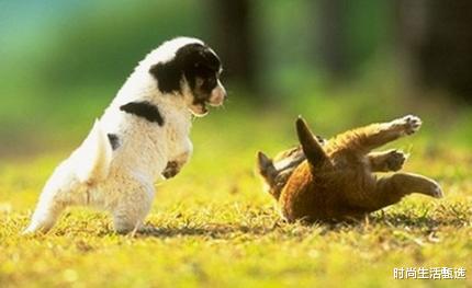 吉星|8、9、10、11号4天内，财富大把涌进，不在缺钱花的3生肖