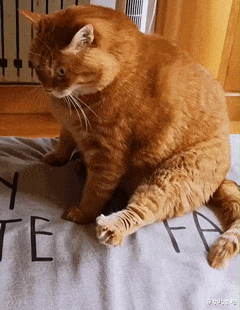 口红|“爸，当年为什么追我妈？”网友晒出父母结婚照，真不登对哈哈哈哈...