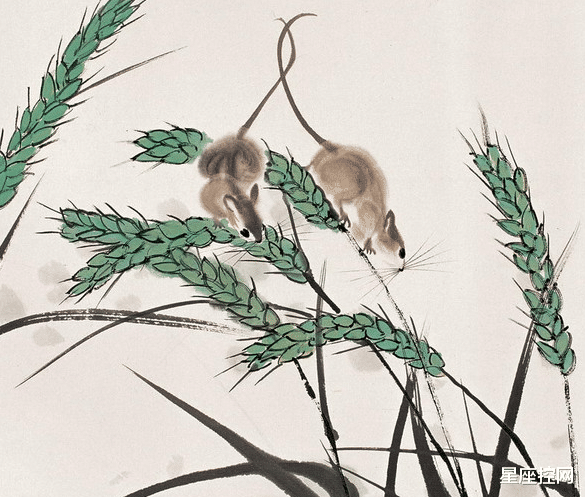 运势|爱情事业可兼得的三大生肖，拥抱爱情的同时，还能够赚到面包