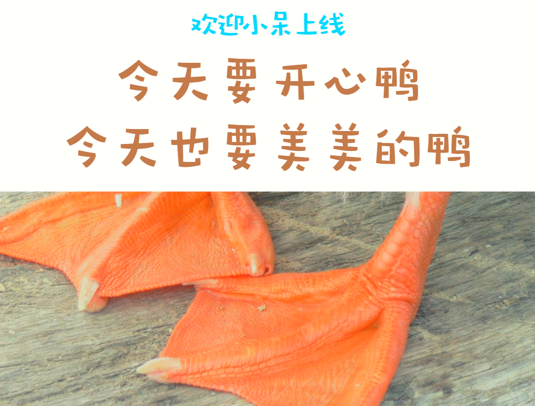 []基金购买之路-原来购买基金还附带这种隐藏操作，学会了一年多分好几百呢