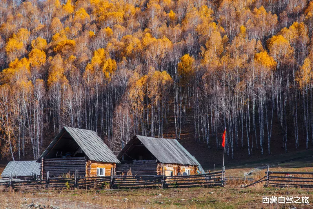 自驾|秋天最美的8条自驾路线！9月10月美成天堂，错过就要再等一年！