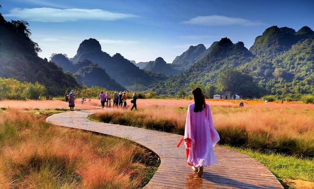 英西峰林|藏在清远英西峰林的绝美浪漫粉色花海，走入其中仿佛进入爱丽丝仙境。