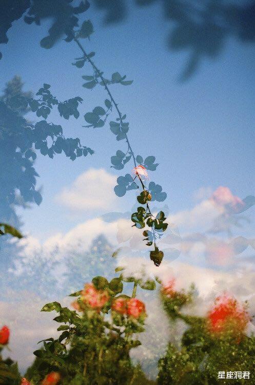 『狮子座』没什么心机，却始终散发出灵气的星座女