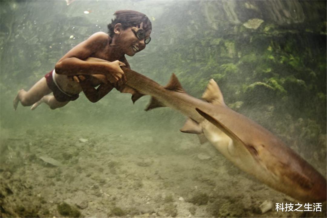 科学家|他们在海洋生存，进化出了不一样的身体，是否会变成“美人鱼”？