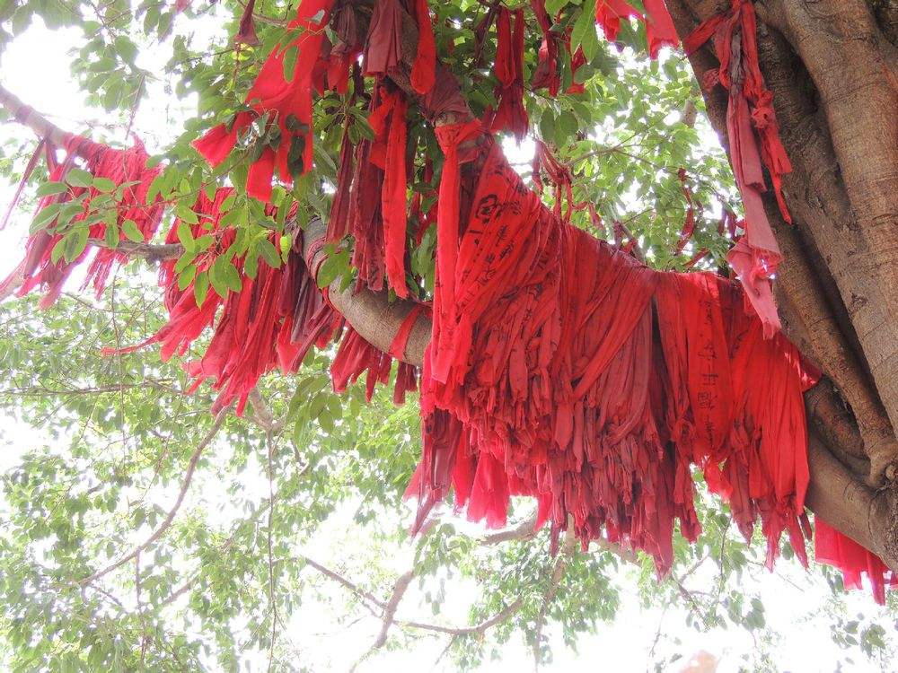 生肖▲夫妻争吵多，为钱财烦恼的生肖人