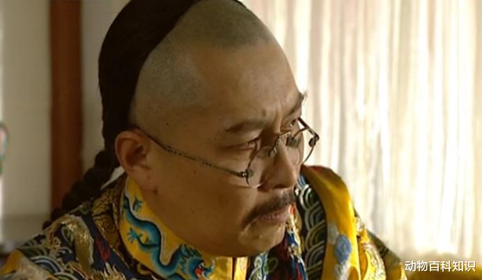 日军|雍正王朝：年羹尧临死前和小牧童下棋输了一枚铜钱代表着什么