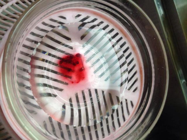 「桑葚」7月看到此水果别犹豫！买10斤做成“万能酱”，滋阴又润燥超养肤