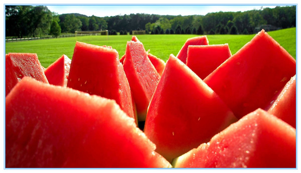 『水果』这7种果皮的营养价值你根本想不到，扔掉太可惜!