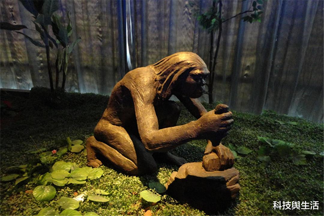 基因|中国人的祖先是谁？科学家根据化石，发现曾灭绝的人种！