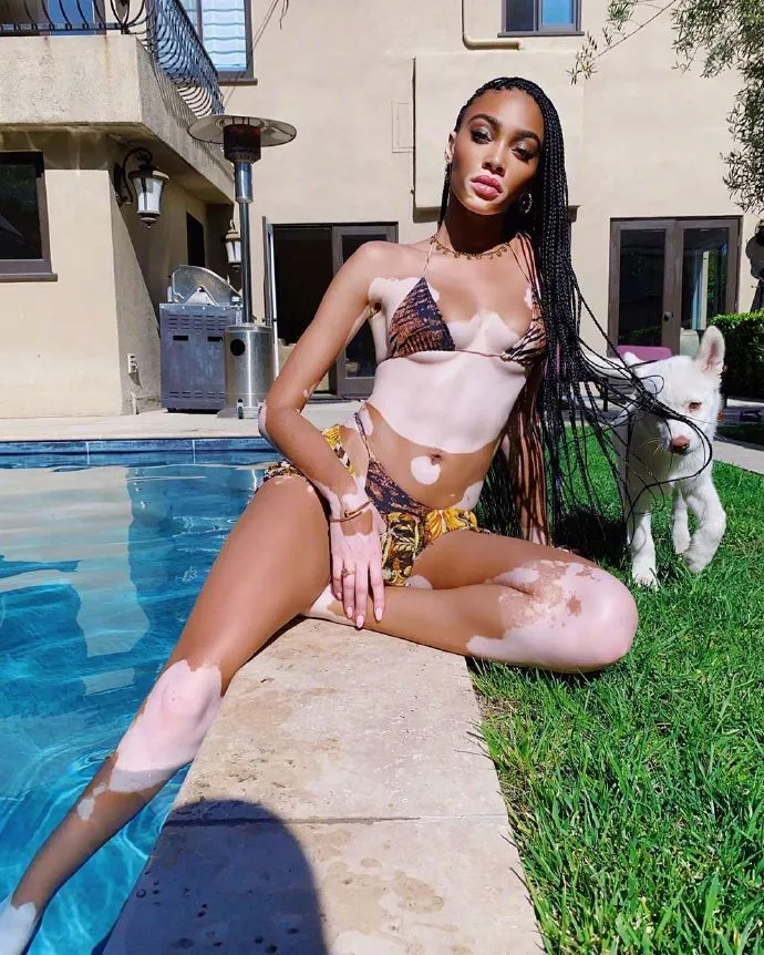 『库兹马』库兹马新女友——奶牛！又跟卡戴珊家族有关！不过这口味......