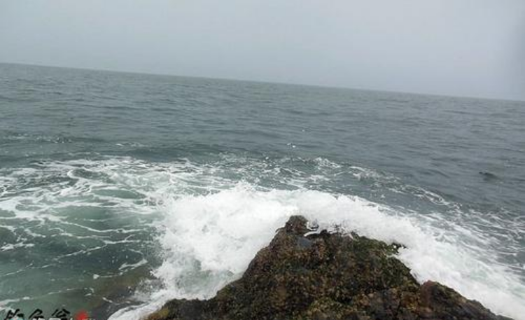 海钓|为什么海上矶钓会那么让人入迷？