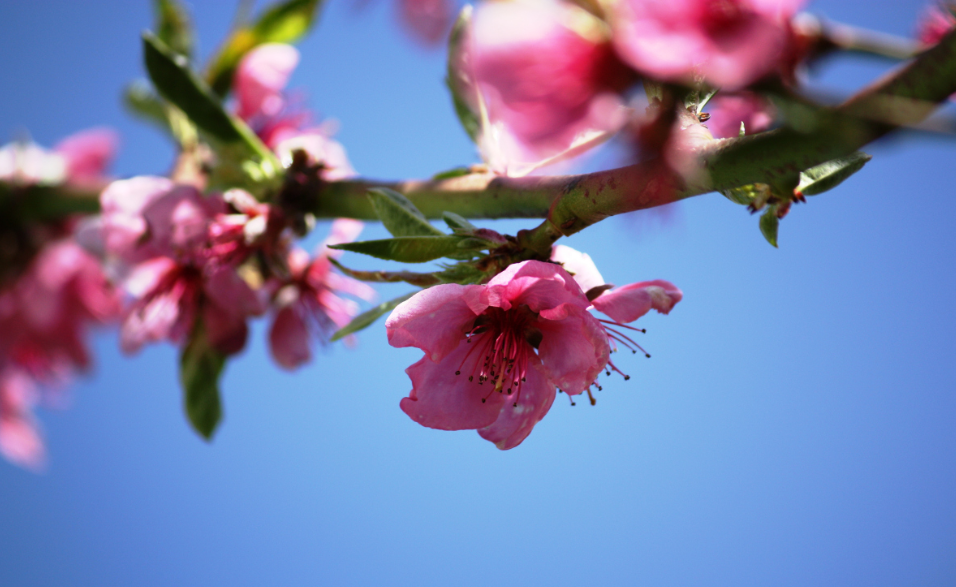 『运势』最近7天咸鱼翻身,遇贵人迎财神,偏财运势旺,买彩票必中奖3生肖