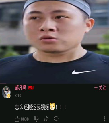 bilibili|如何评价B站大霓奈？依靠搬运拥有60万粉丝，成为B站知名UP主