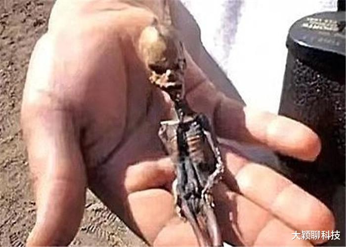 ：小人国真实存在吗？墨西哥洞穴中发现的事物，又该如何解释？