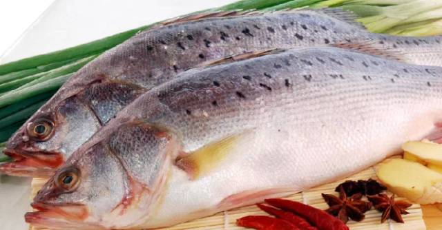 鱿鱼|开海了！这84种海鲜，你都认识吗？