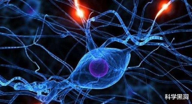 |如果人类的体型只有蚂蚁那么大，但智慧保留，会有什么样的后果？