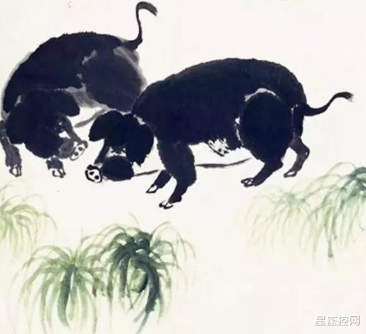 白羊座|熬过2020年，3生肖一不缺钱，二不缺爱，三餐吃好，四季顺遂