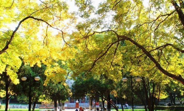 大学|这几所被合并的211大学,曾都是领域巨头,如今却再难闻其名!