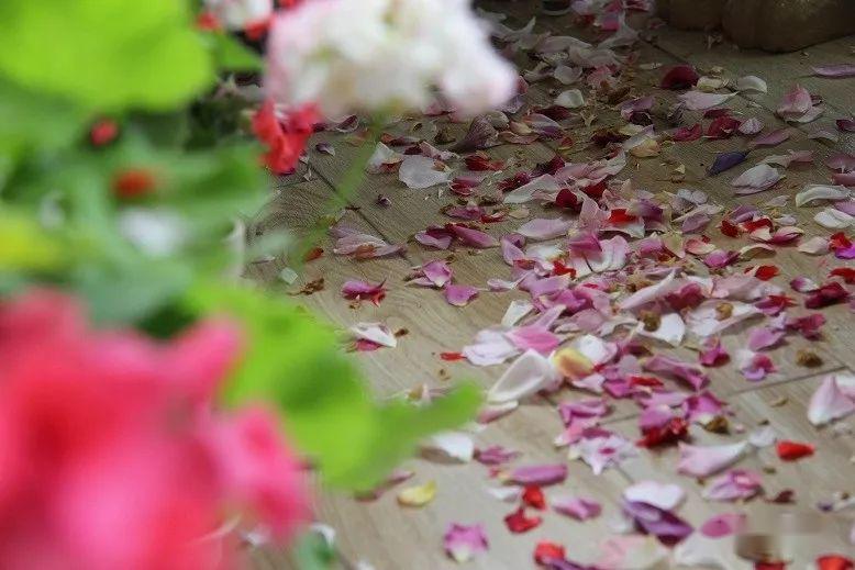 @7㎡迷你“阳台造园”：小阳台这样布置，也能美成的花园