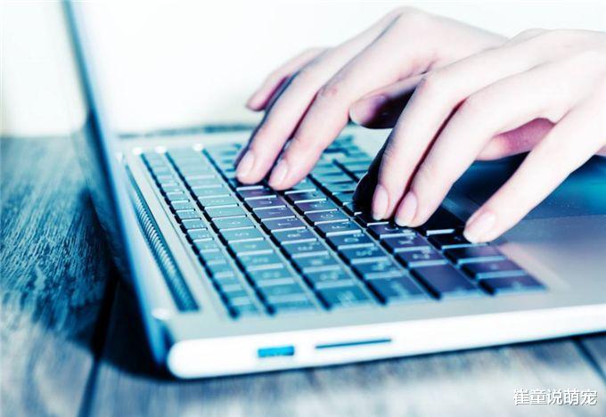 曾风靡一时的五笔输入法，为何最后却败给拼音输入法，原因很简单