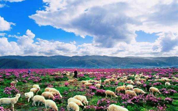 哈尔滨▲我国名字最“崇洋”的3座城市，一座在东北，另外两座80%人猜不到