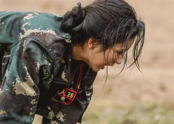 「佟丽娅」佟丽娅为何能主持央视春晚,董卿一句话说出原因,网友直言太真实!