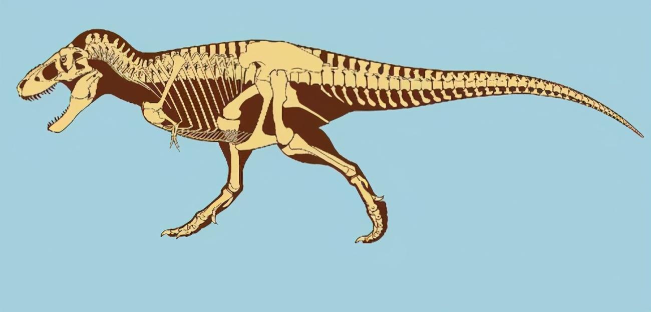 恐龙|很遗憾的告诉你,那些你印象中的古生物形象,其实基本上都是错误的