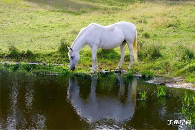 运势|8月19号起，三生肖运势全开，事业一帆风顺，财运如雨，收获喜人