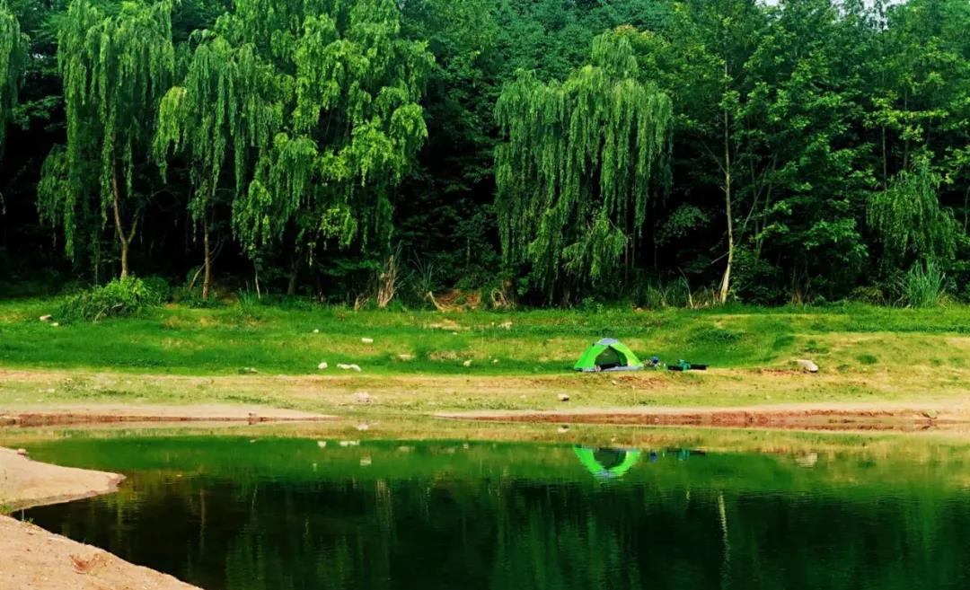 草鱼|周末出发去成都最美田园乡村,有百亩绣球花,可野餐、垂钓、露营
